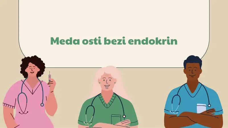 Meda osti bezi