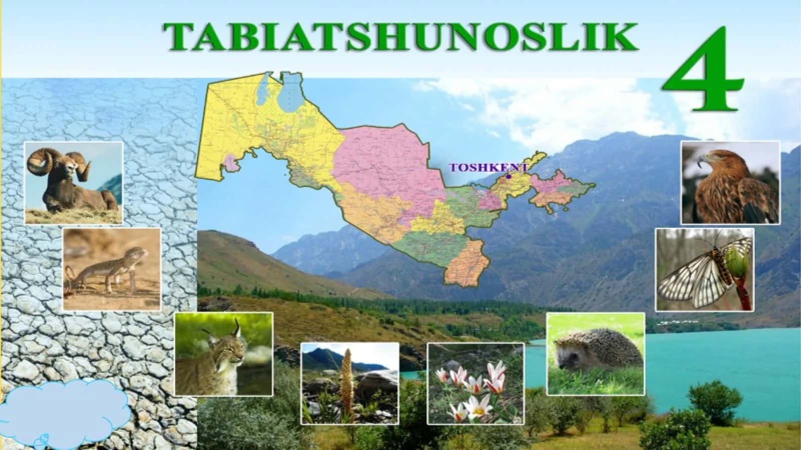 O‘ZBEKISTONDAGI TABIIY BOYLIKLAR VA TABIATNI MUHOFAZA QILISH