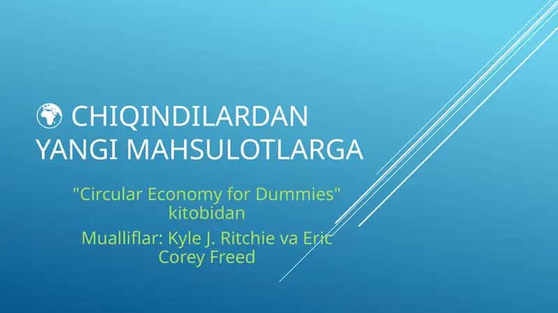 Circular Economy for Dummies kitobi