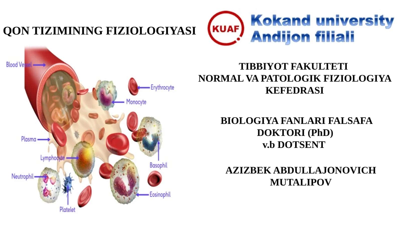 QON TIZIMINING FIZIOLOGIYASI