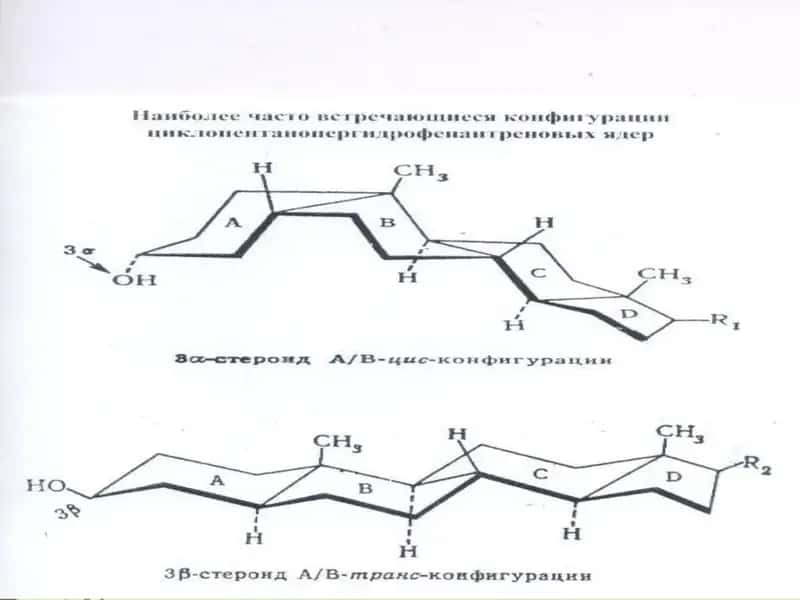 Sabunlanmaydigan lipidlar
