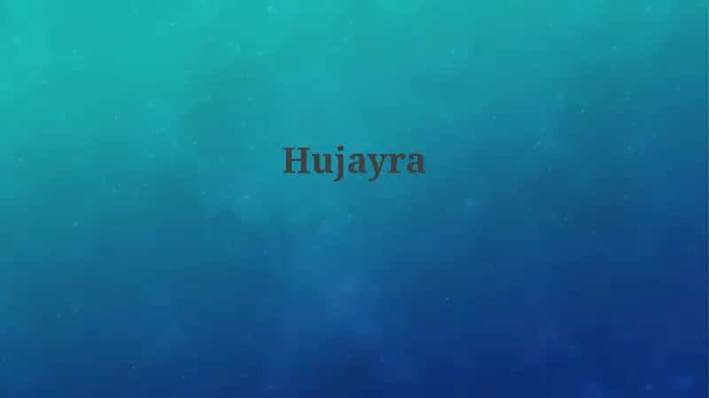 Hujayra tuzilishi va funksiyalari