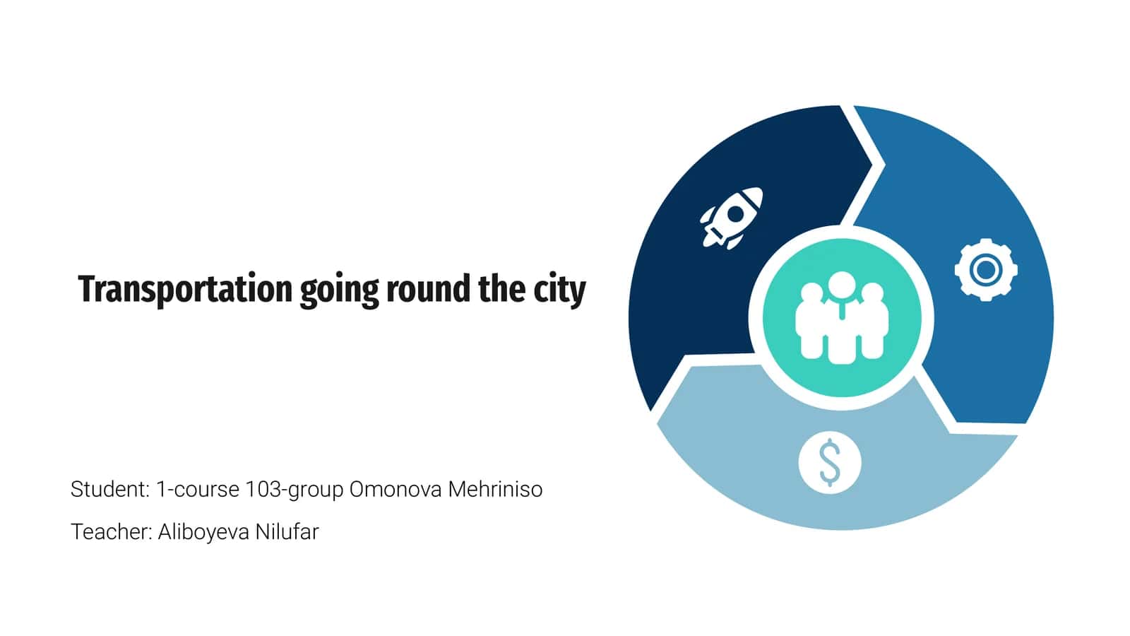 City Transportation Overview