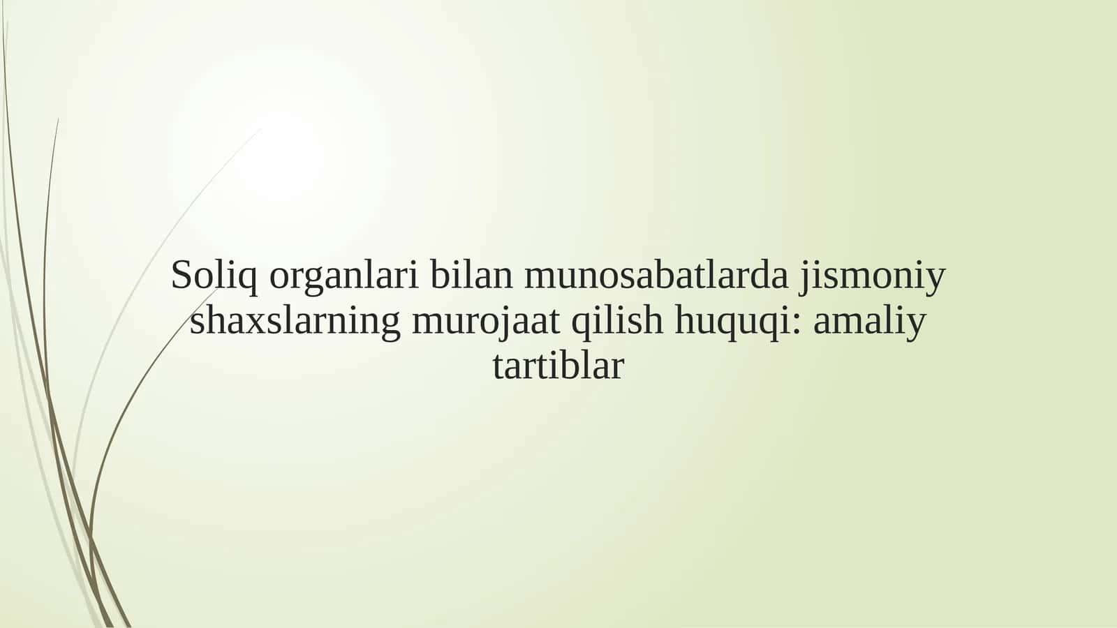 Soliq organlari bilan munosabatlarda jismoniy shaxslarning murojaat qilish huquqi amaliy tartiblar