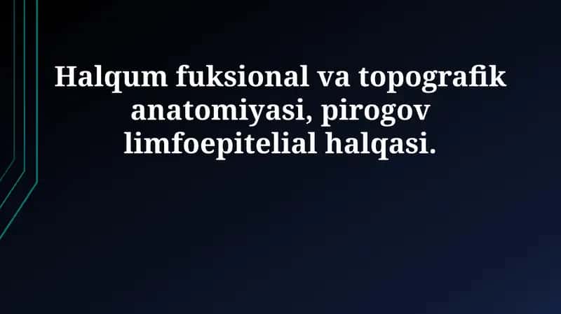 Halqum fuksional va topografik anatomiyasi, pirogov limfoepitelial halqasi