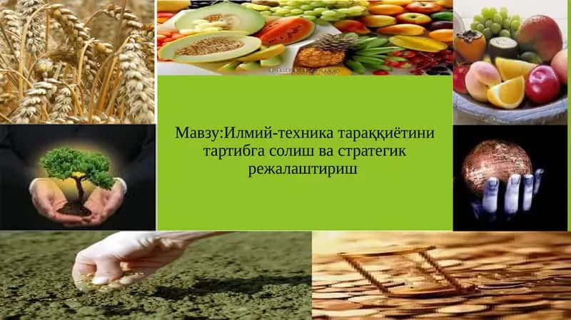 Янгиликлар бозори