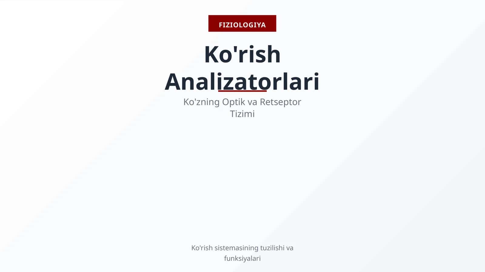Ko'rish Analizatorlari