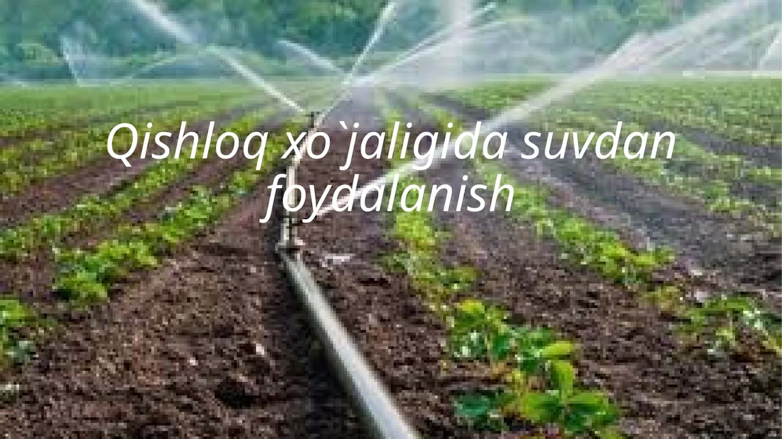 Qishloq xoʻjaligida suvdan foydalanish muammolari