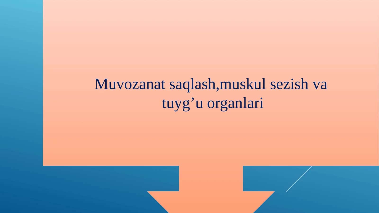 Eshitish organlarining tuzilishi