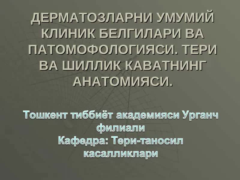 Терининг тузилиши