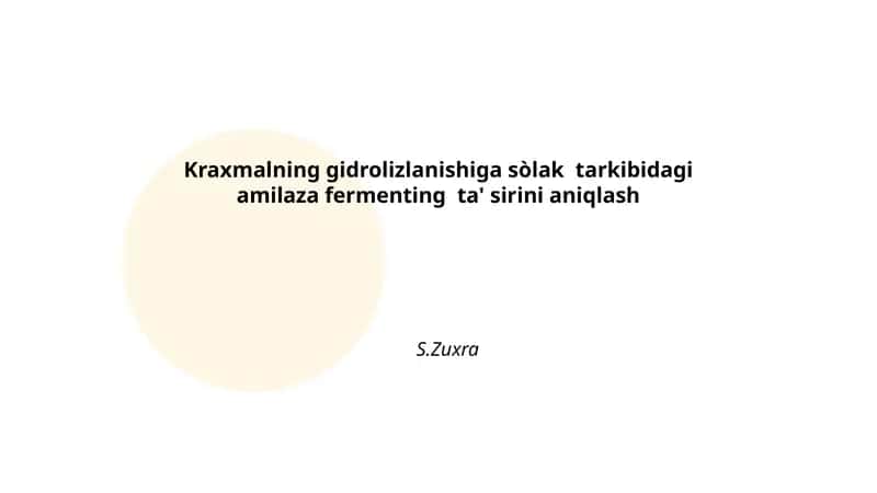 Amilaza fermenti