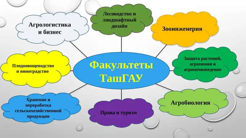 Лесоводство и ландшафтный дизайн