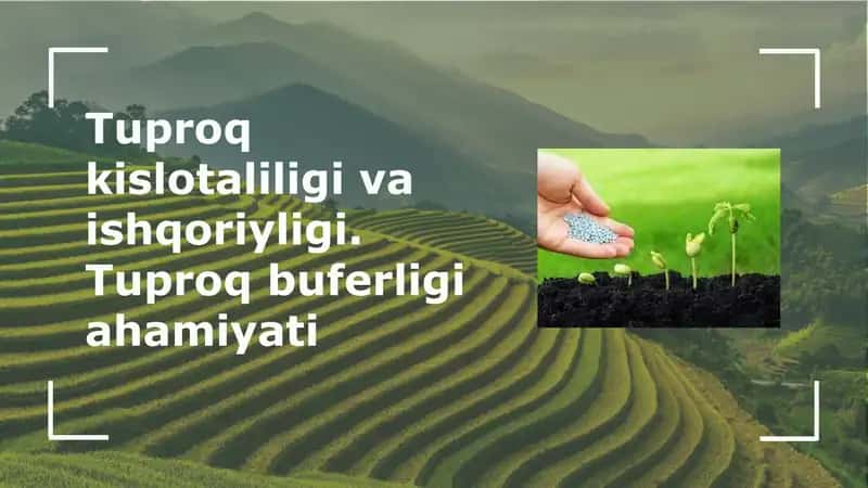 Tuproq kislotaliligi va ishqoriyligi. Tuproq buferligi ahamiyati