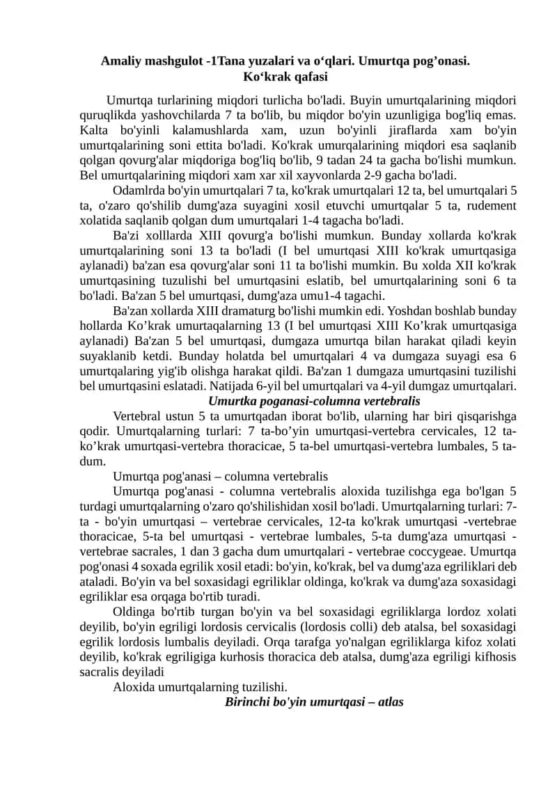 Ko'krak Umurtqalar