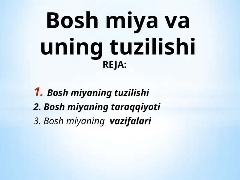 Boshmiyaning tuzilishi