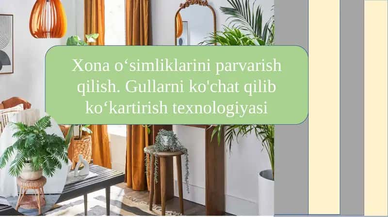 Xona o‘simliklarini parvarish qilish. Gullarni ko'chat qilib ko‘kartirish texnologiyasi
