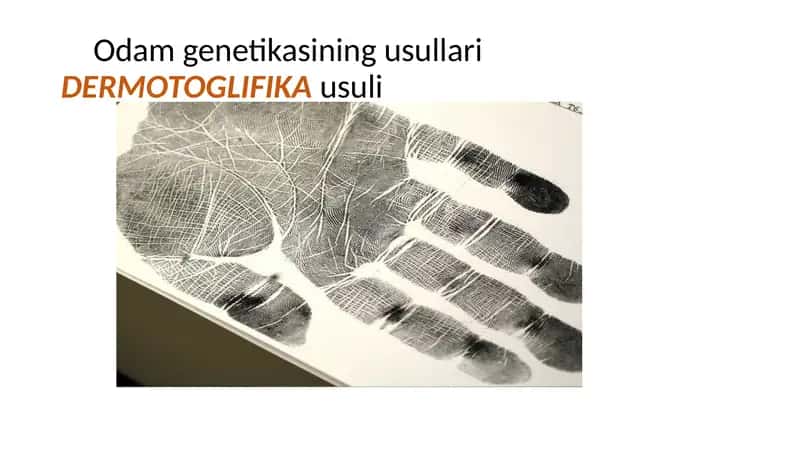 Odam genetikasining usullari: DERMOTOGLIFIKA usuli
