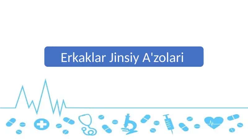 Erkaklar Jinsiy A'zolari
