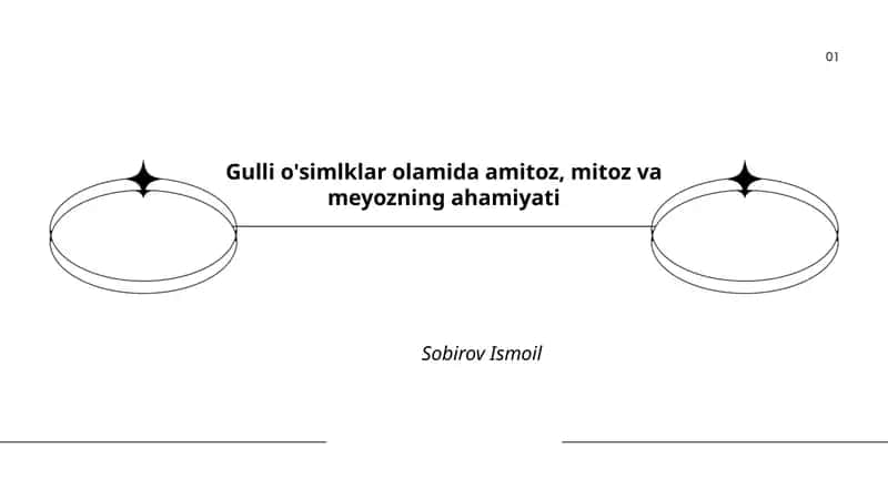 Gulli o'simliklar olamida amitoz, mitoz va meyozning ahamiyati