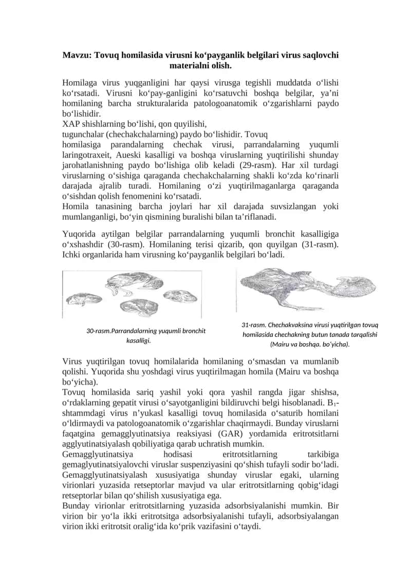 Tovuq homilasida virusni ko‘payganlik belgilari virus saqlovchi materialni olish