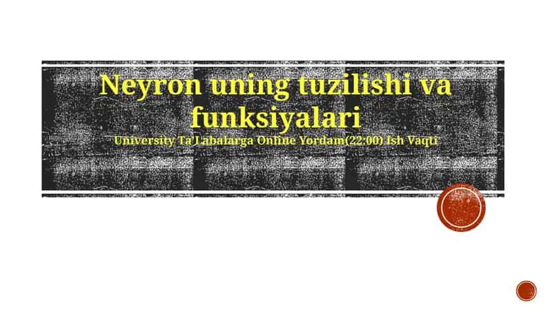 Neyron uning tuzilishi va funksiyalari