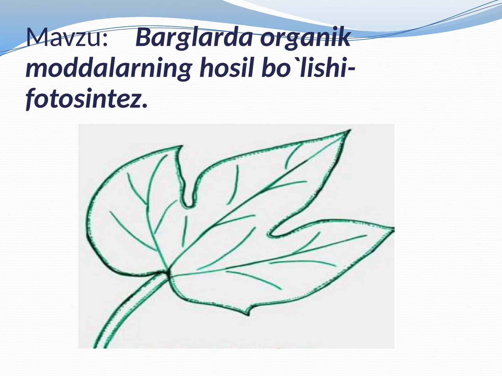 Barglarda organik moddalarning hosil bo`lishi-fotosintez