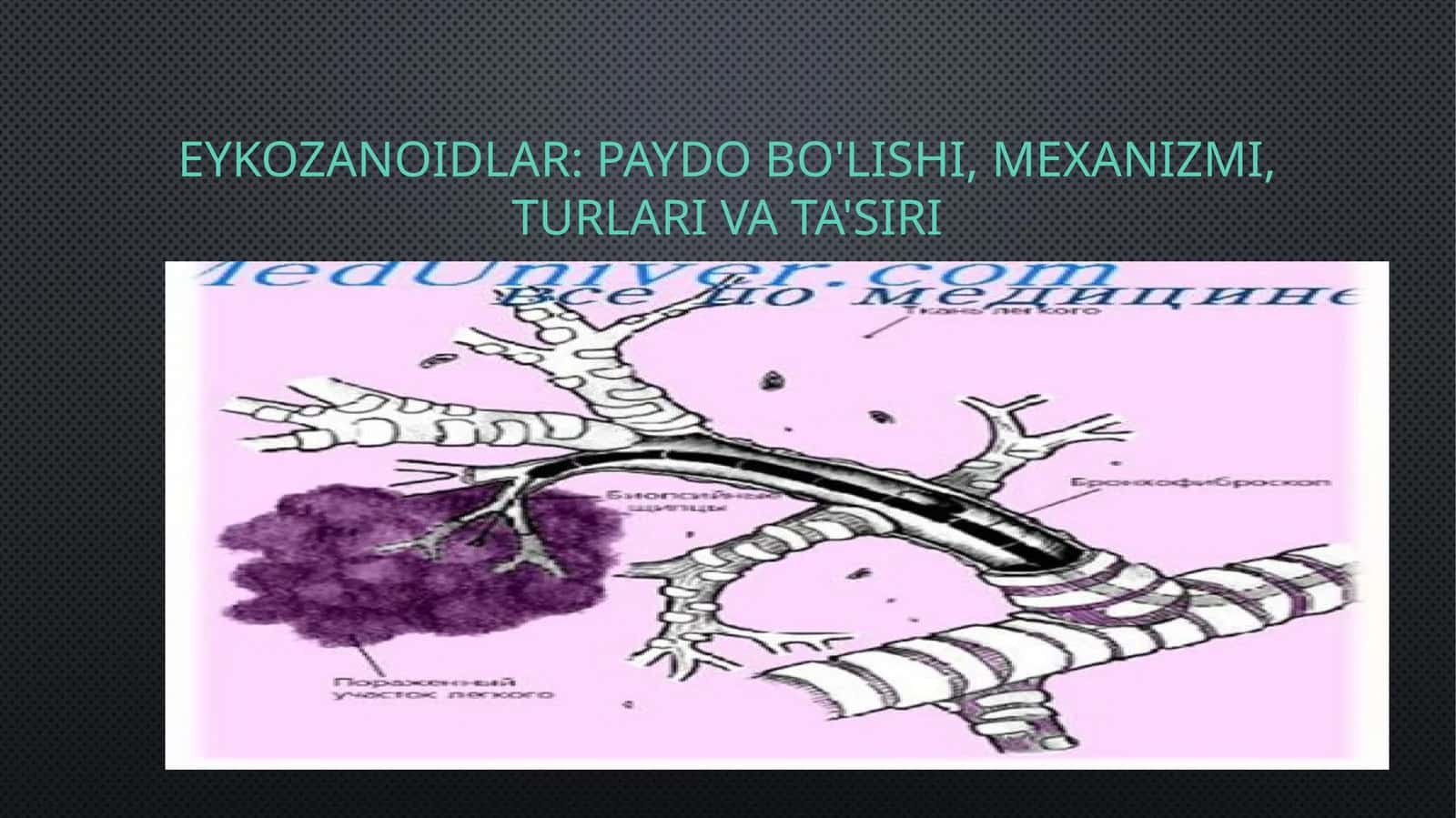 Eykozanoidlar: Paydo Bo'lishi, Mexanizmi, Turlari va Ta'siri