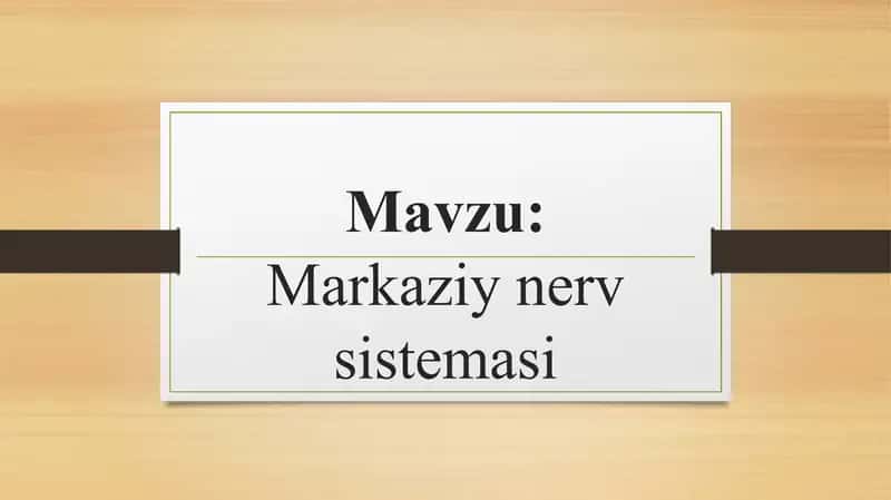 Markaziy nerv sistemasi