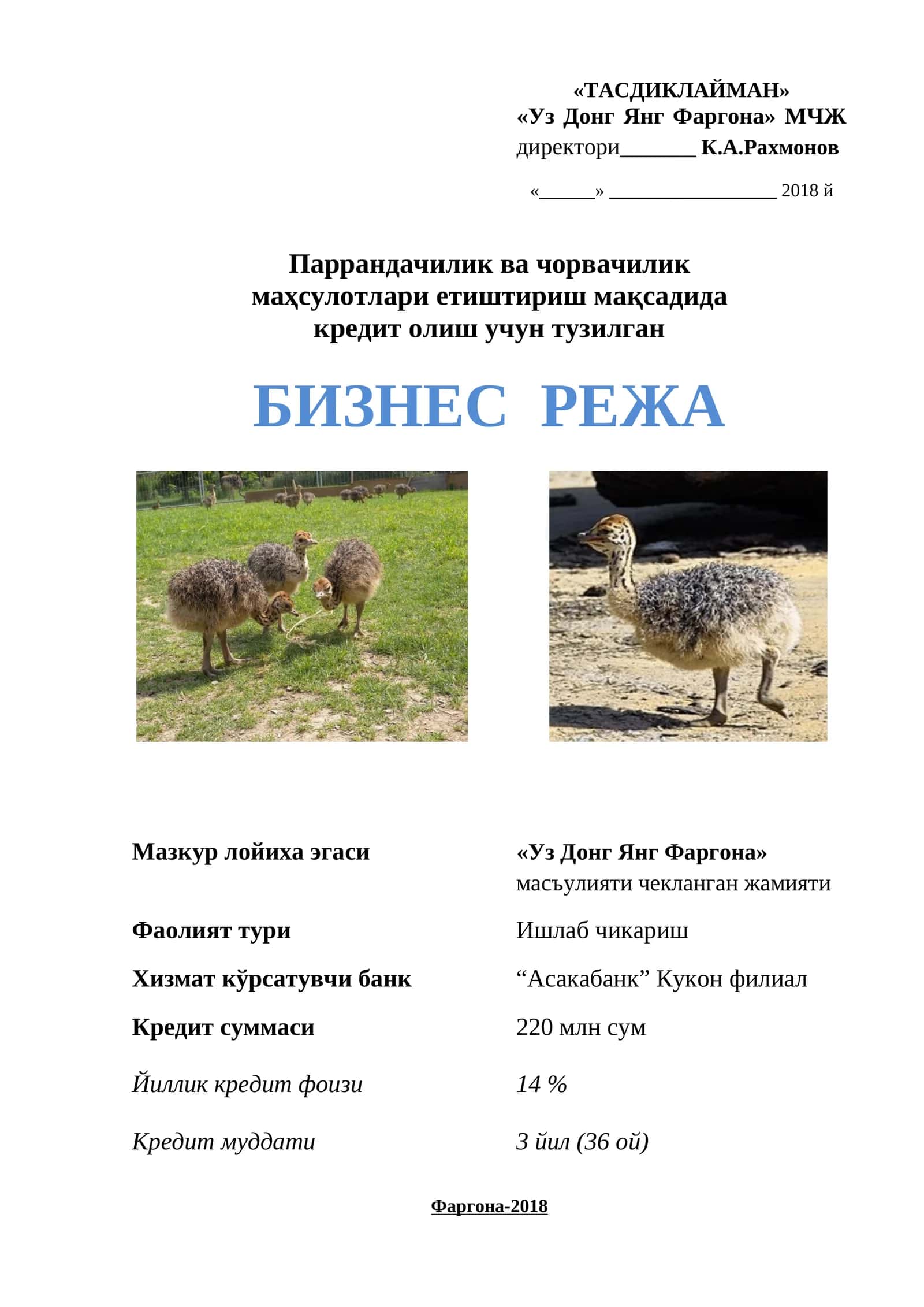 Tuyaqush biznes reja