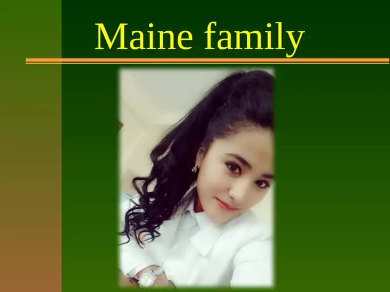 Maine family