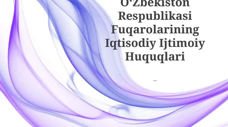 Oʻzbekiston Respublikasi Fuqarolarining Iqtisodiy Ijtimoiy Huquqlari