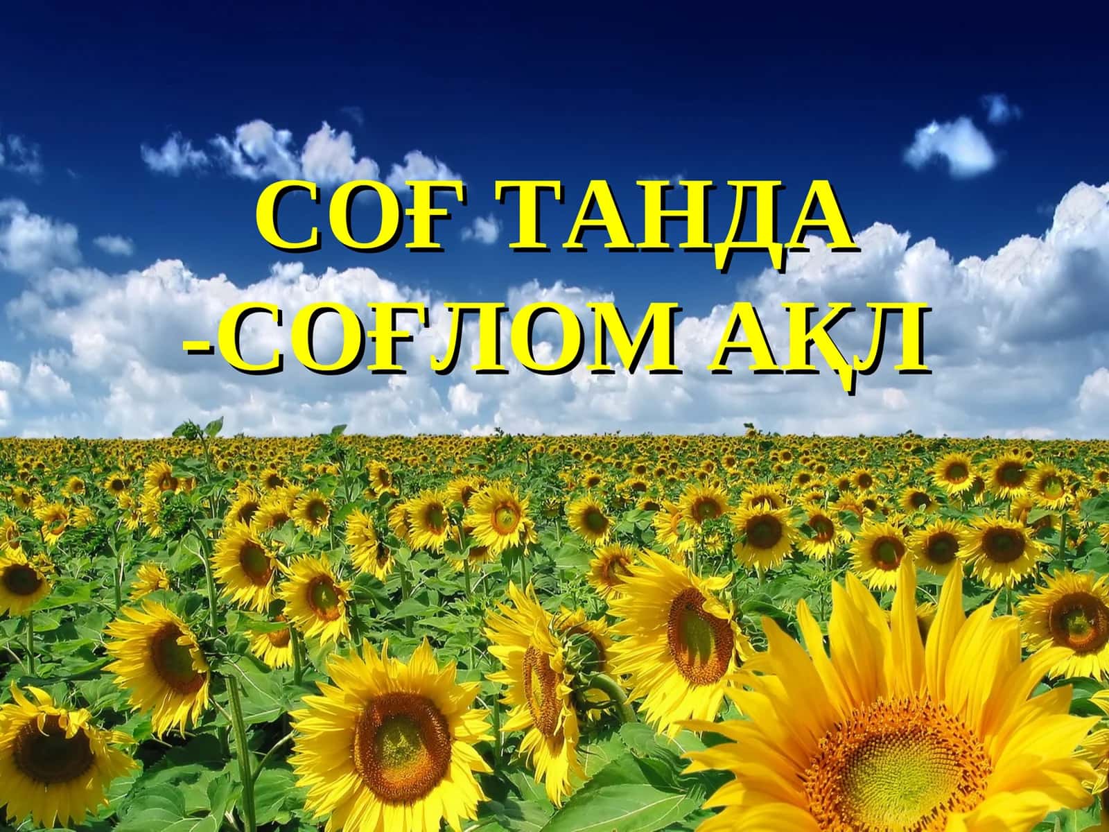 СОҒТАНДА -СОҒЛОМ АҚЛ