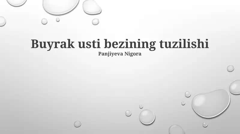 Buyrak usti bezining tuzilishi