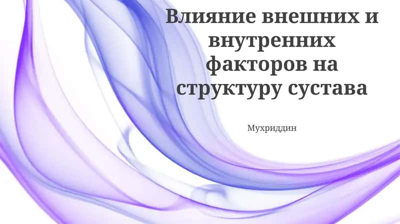 Влияние внешних и внутренних факторов на структуру сустава