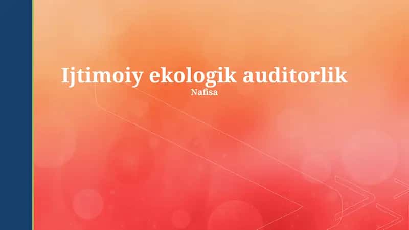 Ijtimoiy ekologik auditorlik
