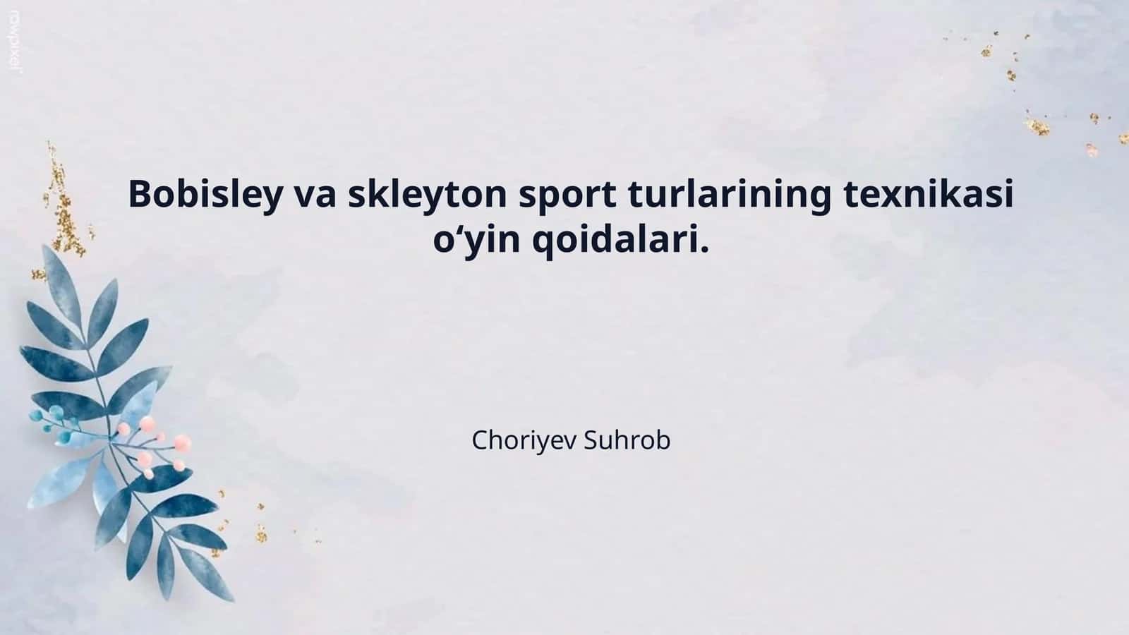 Bobisley va skleyton sport turlarining texnikasi o‘yin qoidalari.