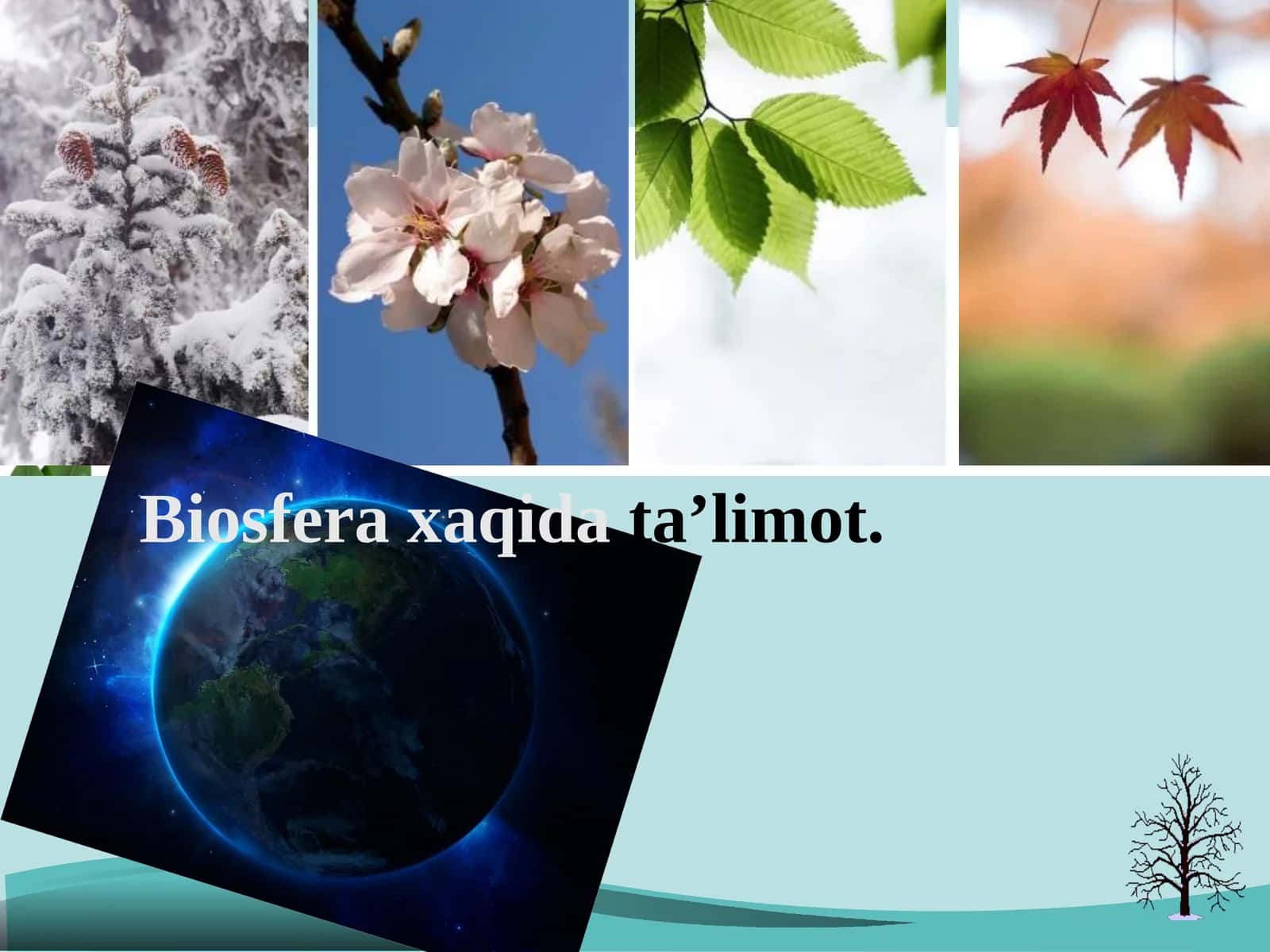 Biosfera xaqida ta’limot