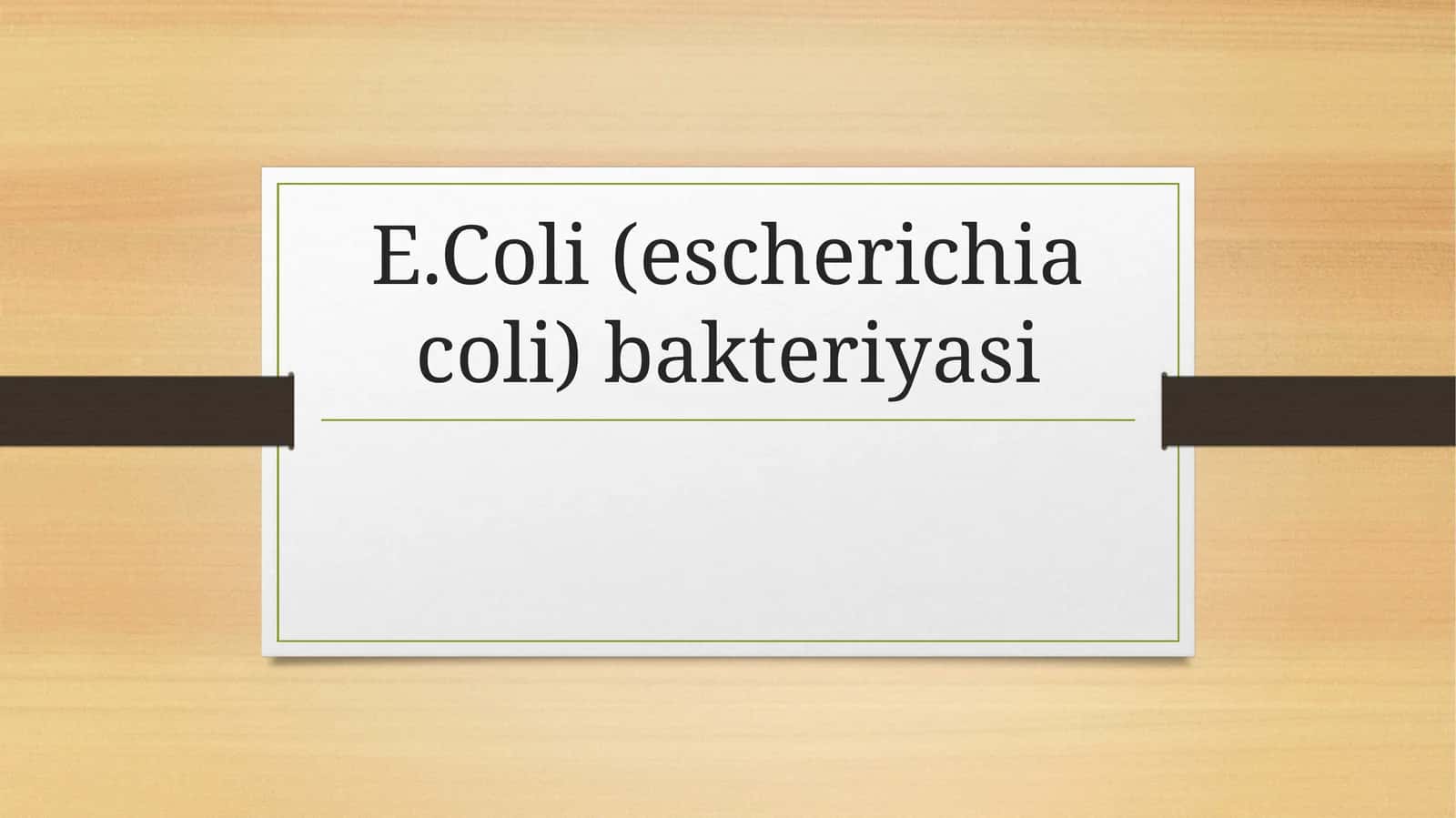 E.Coli(escherichiacoli) bakteriyasi haqida