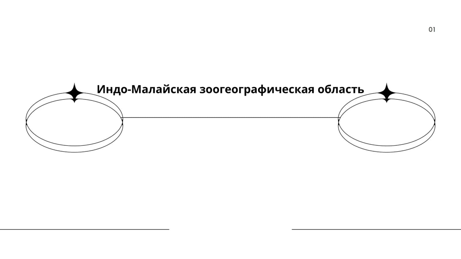 Индо-Малайская зоогеографическая область