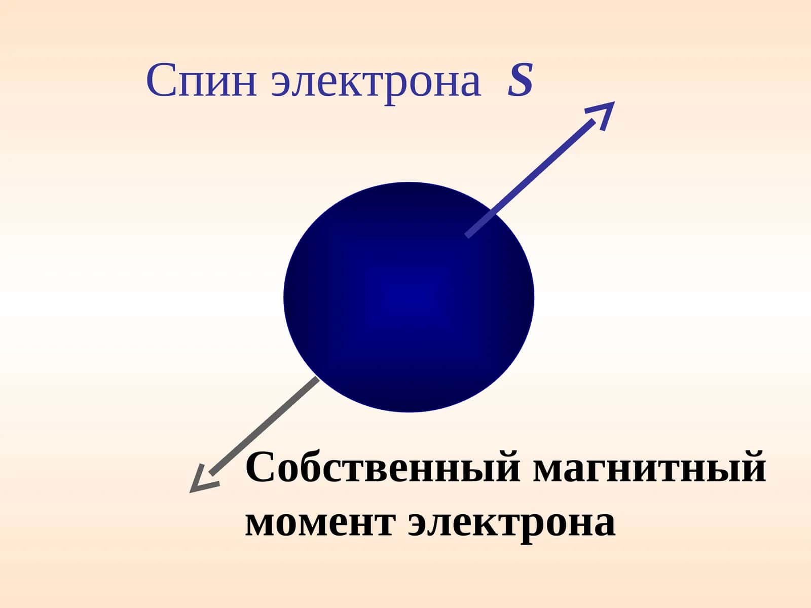 Спин электрона