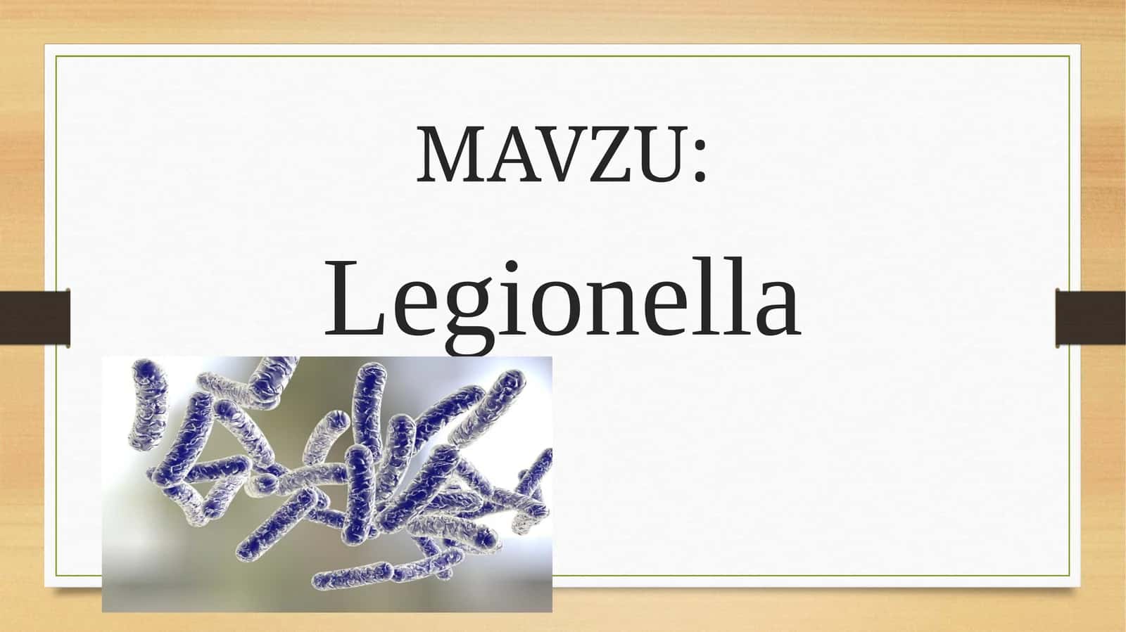Legionellalar