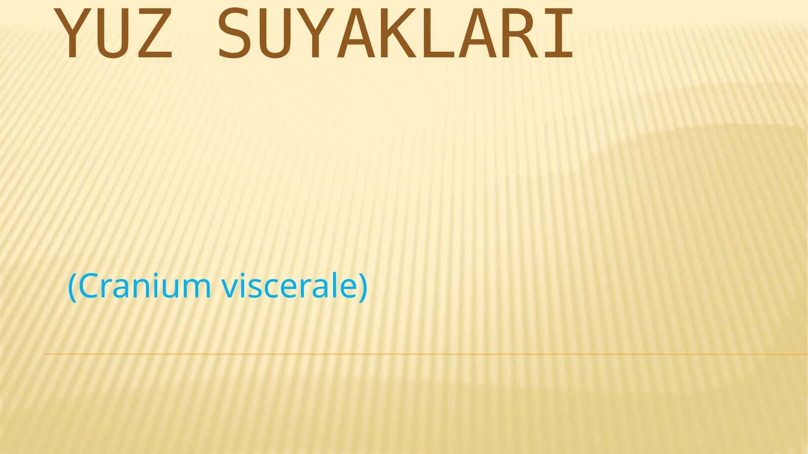 Yuz suyaklari