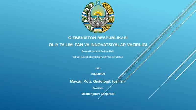 Ko'z. Gistologik tuzilishi