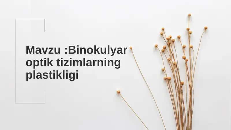 Binokulyaroptik tizimlar