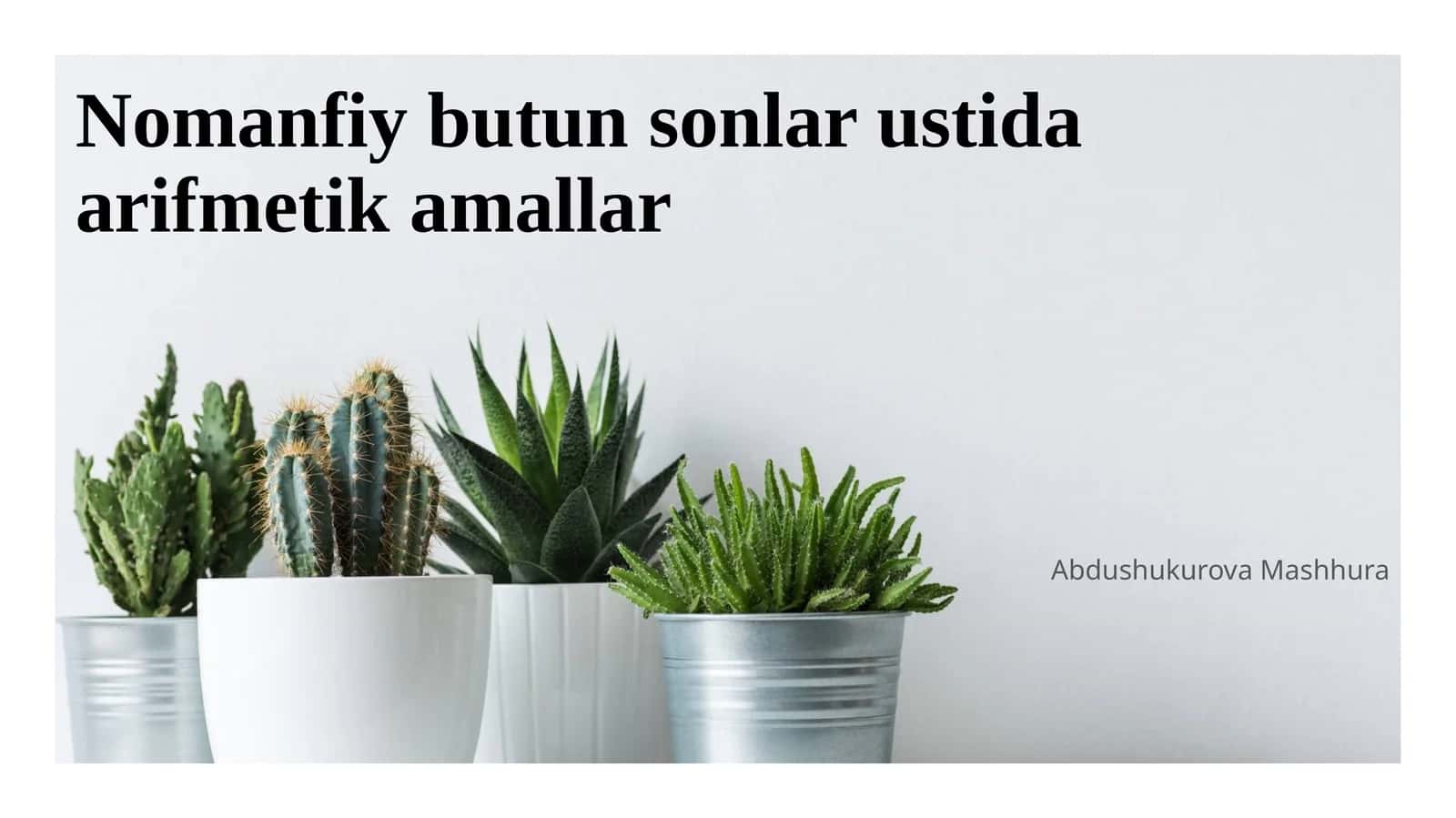 Nomanfiy butun sonlar ustida arifmetik amallar