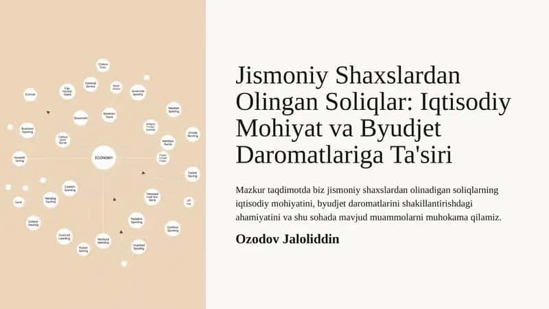 Jismoniy Shaxslardan Olingan Soliqlar: Iqtisodiy Mohiyat va Byudjet Daromatlariga Ta'siri