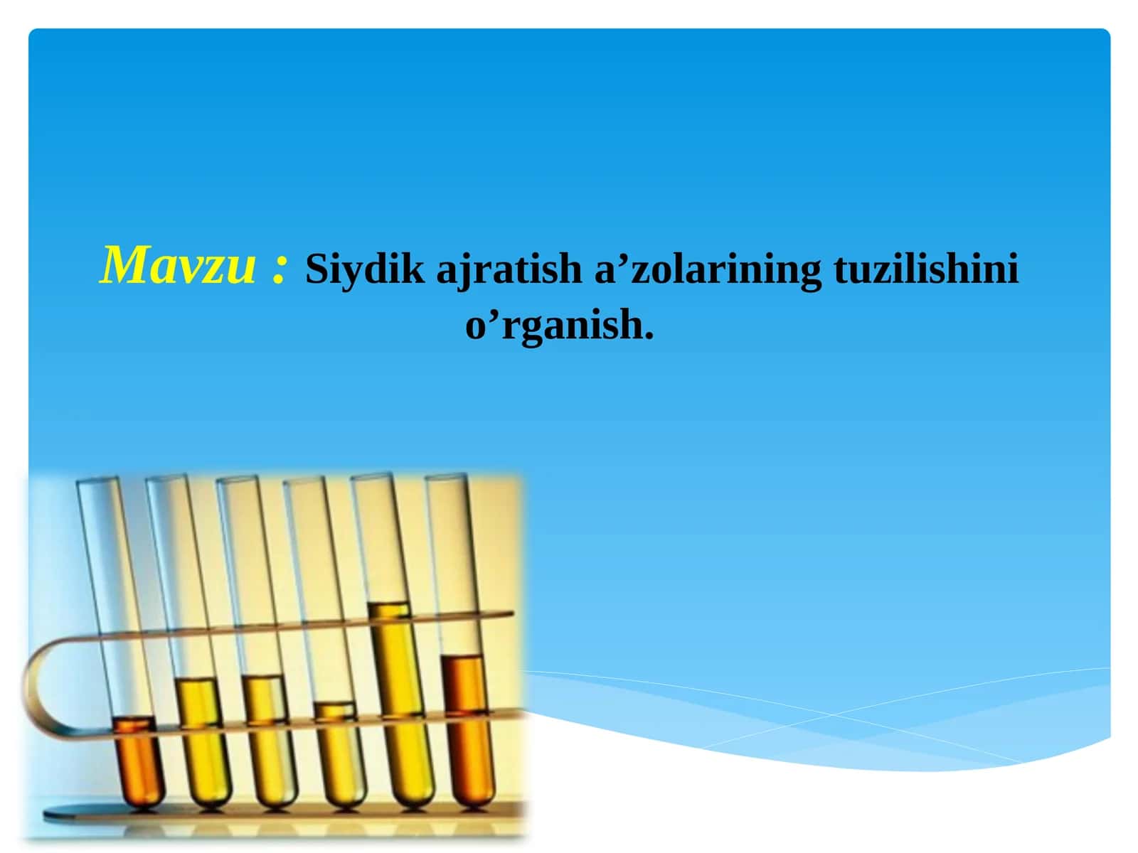 Siydik ajratish a’zolarining tuzilishini o’rganish
