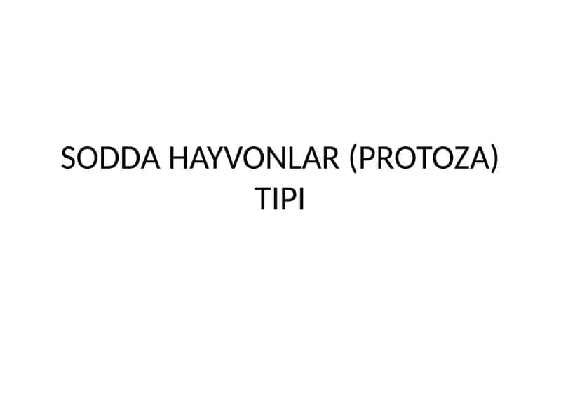 SODDA HAYVONLAR (PROTOZA) TIPI