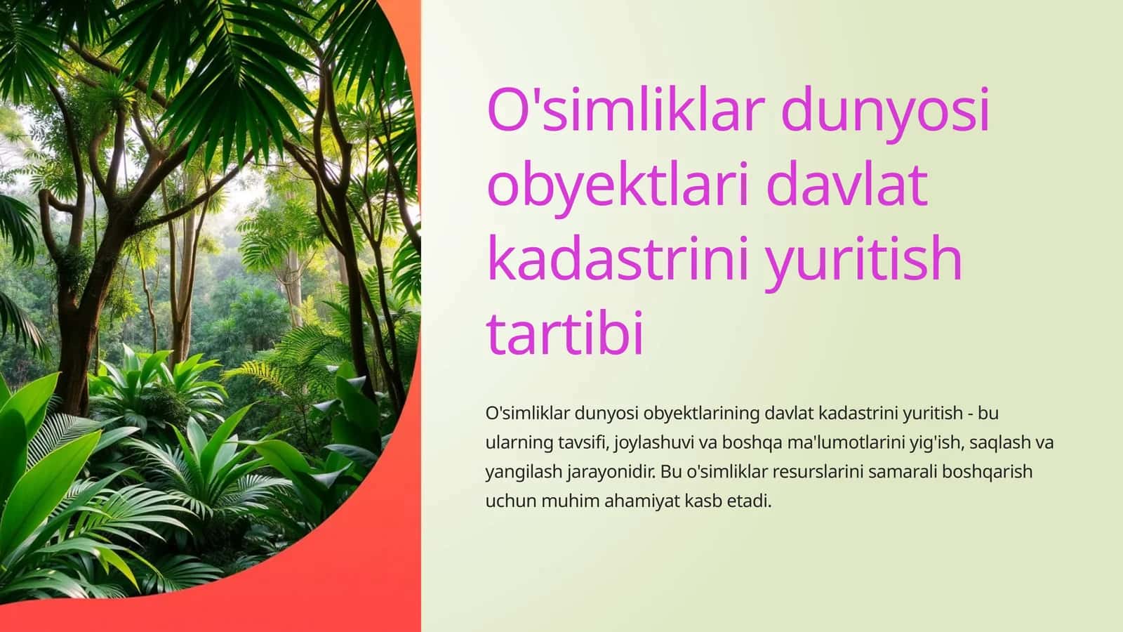 O'simliklar dunyosi obyektlari davlat kadastrini yuritish tartibi
