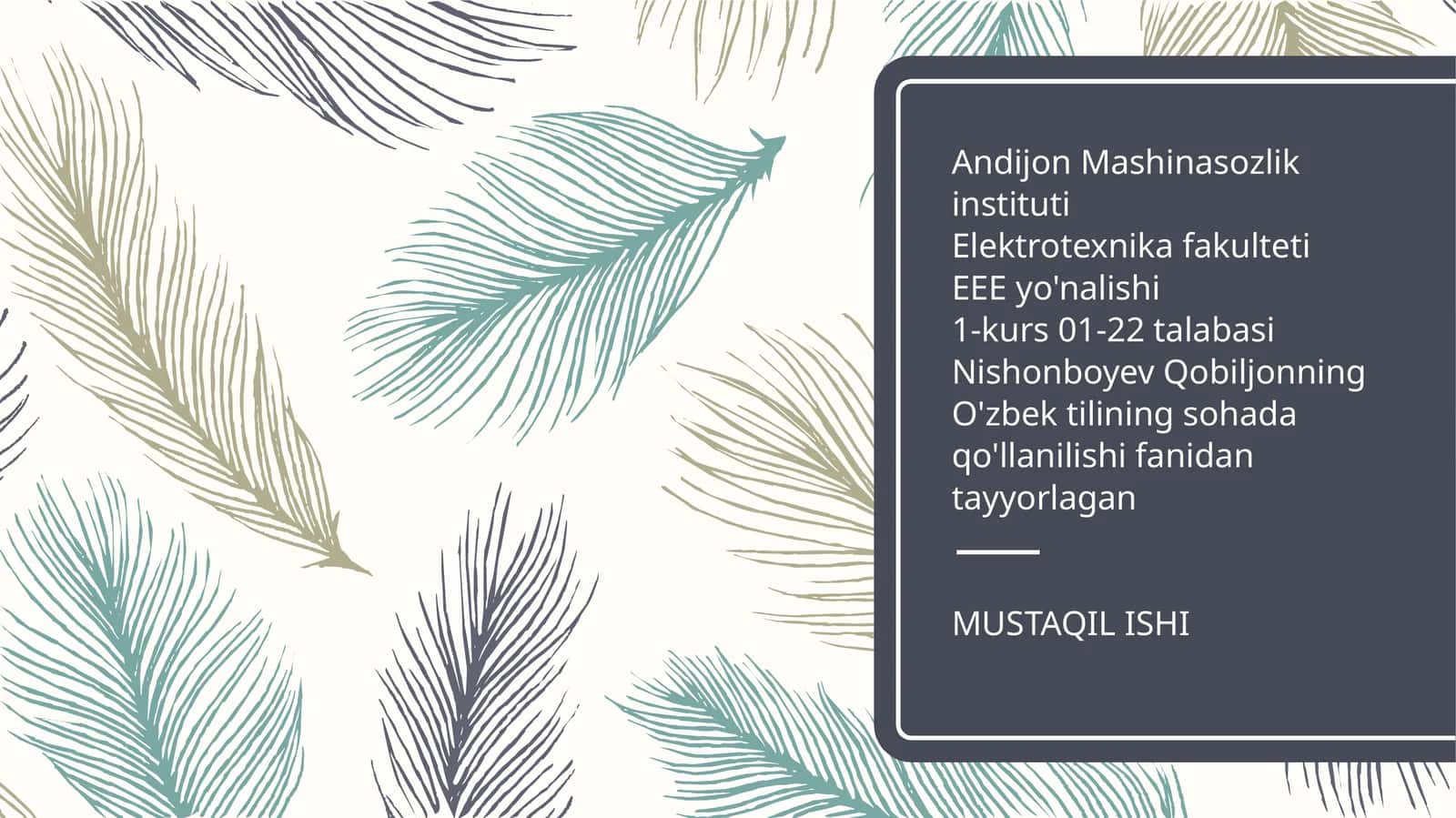 O'zbek tilining sohada qo'llanilishi fanidan tayyorlagan MUSTAQIL ISHI